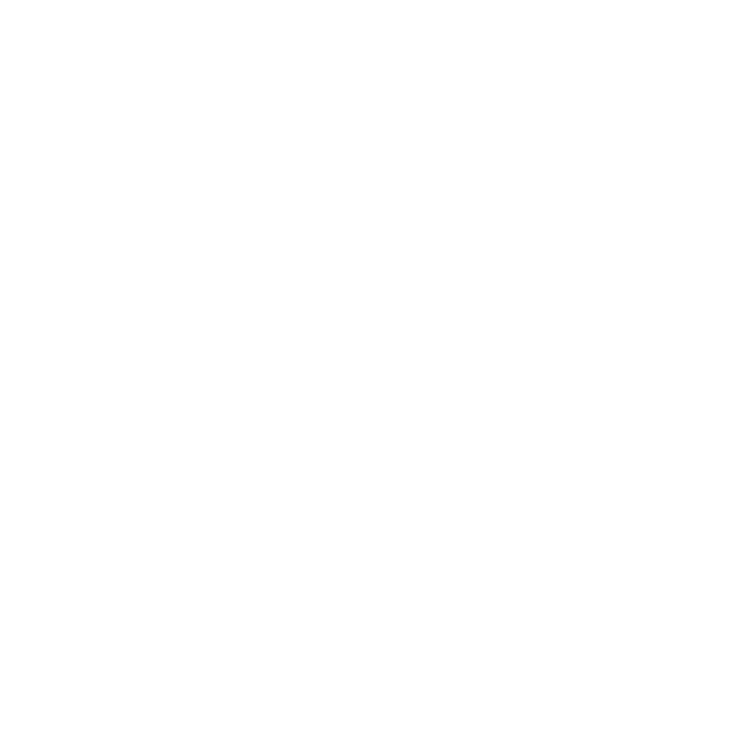 Spirit Rebel